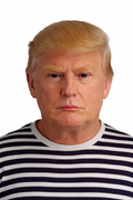 Donald Trump Mask